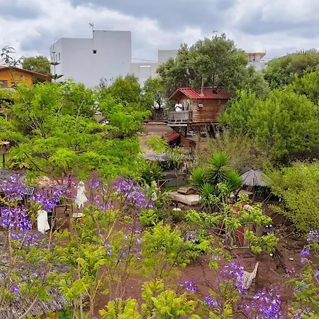 Alojamento de Turismo Selvagem El Refugio De Vegas Valsequillo de Gran Canaria